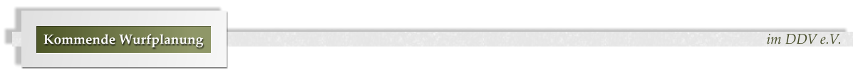 im DDV e.V. Kommende Wurfplanung