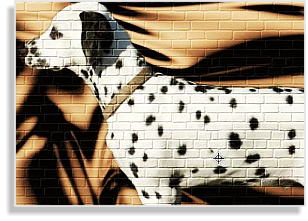 Dalmatinerwelpe in weiß-schwarz 