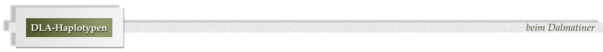 beim Dalmatiner DLA-Haplotypen